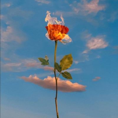 麻将胡了pg网站截图